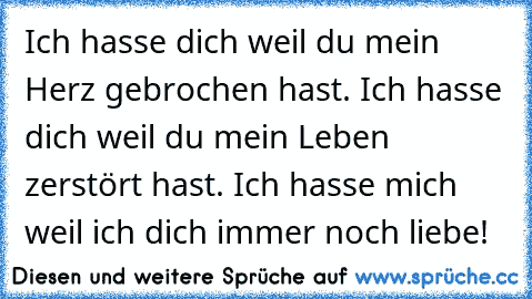 Ich hasse dich weil du mein Herz gebrochen hast. Ich hasse dich weil du mein Leben zerstört hast. Ich hasse mich weil ich dich immer noch liebe!