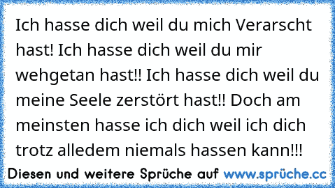 Ich hasse dich weil du mich Verarscht hast! Ich hasse dich weil du mir wehgetan hast!! Ich hasse dich weil du meine Seele zerstört hast!! Doch am meinsten hasse ich dich weil ich dich trotz alledem niemals hassen kann!!!