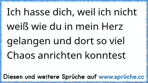 Ich hasse dich, weil ich nicht weiß wie du in mein Herz gelangen und dort so viel Chaos anrichten konntest