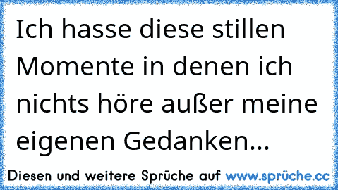 Ich hasse diese stillen Momente in denen ich nichts höre außer meine eigenen Gedanken...