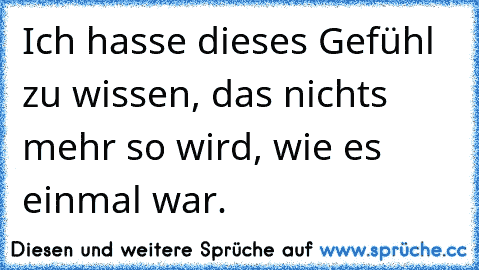 Ich hasse dieses Gefühl zu wissen, das nichts mehr so wird, wie es einmal war.