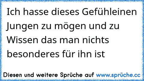 Ich hasse dieses Gefühl
einen Jungen zu mögen und zu Wissen das man nichts besonderes für ihn ist