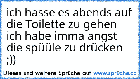 ich hasse es abends auf die Toilette zu gehen ich habe imma angst die spüüle zu drücken ;))