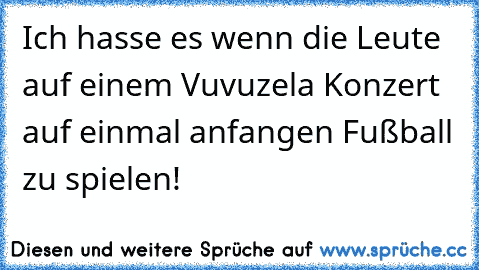 Ich hasse es wenn die Leute auf einem Vuvuzela Konzert auf einmal anfangen Fußball zu spielen!