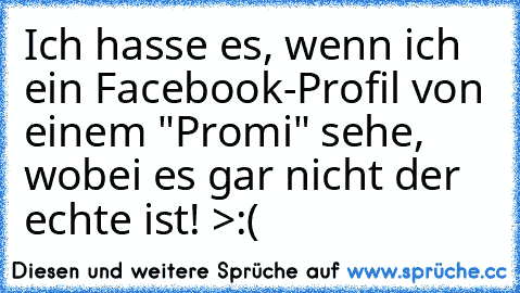 Ich hasse es, wenn ich ein Facebook-Profil von einem "Promi" sehe, wobei es gar nicht der echte ist! >:(