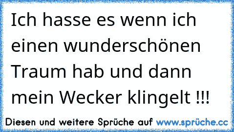 Ich hasse es wenn ich einen wunderschönen Traum hab und dann mein Wecker klingelt !!!