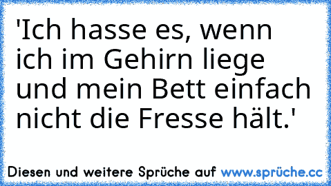 'Ich hasse es, wenn ich im Gehirn liege und mein Bett einfach nicht die Fresse hält.'