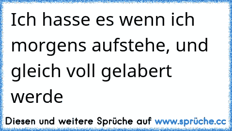 Ich hasse es wenn ich morgens aufstehe, und gleich voll gelabert werde