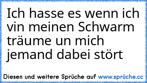 Ich hasse es wenn ich vin meinen Schwarm träume un mich jemand dabei stört