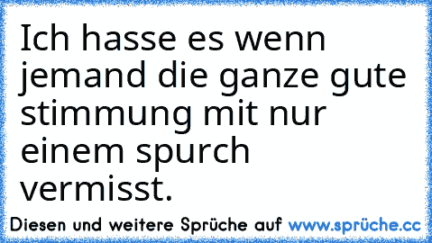 Ich hasse es wenn jemand die ganze gute stimmung mit nur einem spurch vermisst.