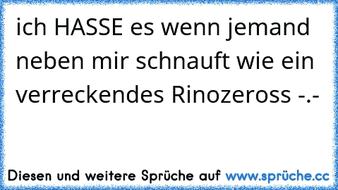 ich HASSE es wenn jemand neben mir schnauft wie ein verreckendes Rinozeross -.-