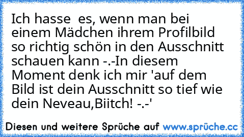 Ich hasse  es, wenn man bei einem Mädchen ihrem Profilbild so richtig schön in den Ausschnitt schauen kann -.-
In diesem Moment denk ich mir 'auf dem Bild ist dein Ausschnitt so tief wie dein Neveau,Biitch! -.-'