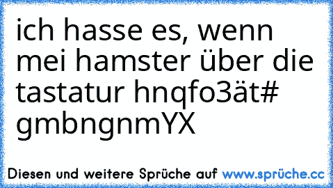 ich hasse es, wenn mei hamster über die tastatur hnqfo3ät# gmbngnmYX