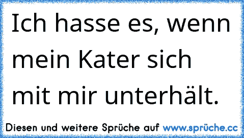 Ich hasse es, wenn mein Kater sich mit mir unterhält.