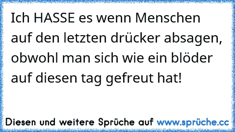 Ich HASSE es wenn Menschen auf den letzten drücker absagen, obwohl man sich wie ein blöder auf diesen tag gefreut hat!