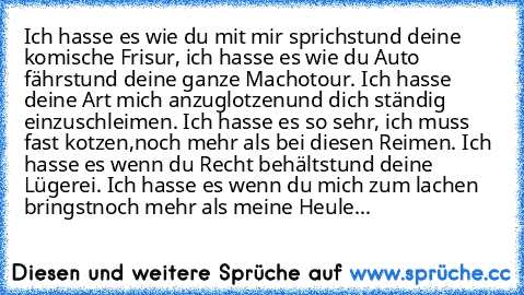 Ich hasse es wie du mit mir sprichst
und deine komische Frisur, 
ich hasse es wie du Auto fährst
und deine ganze Machotour. 
Ich hasse deine Art mich anzuglotzen
und dich ständig einzuschleimen. 
Ich hasse es so sehr, ich muss fast kotzen,
noch mehr als bei diesen Reimen. 
Ich hasse es wenn du Recht behältst
und deine Lügerei. 
Ich hasse es wenn du mich zum lachen bringst
noch mehr als meine Heule...