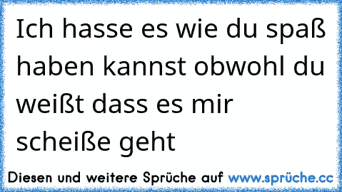 Ich hasse es wie du spaß haben kannst obwohl du weißt dass es mir scheiße geht