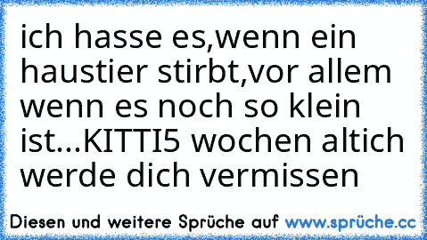 ich hasse es,wenn ein haustier stirbt,vor allem wenn es noch so klein ist...
KITTI
5 wochen alt
ich werde dich vermissen ♥ ♥ ♥ ♥