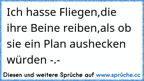 Ich hasse Fliegen,die ihre Beine reiben,als ob sie ein Plan aushecken würden -.-