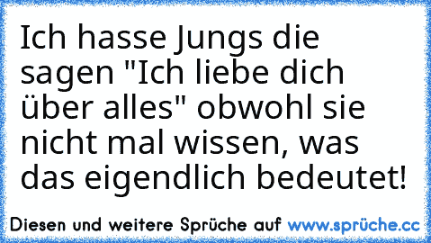 Ich hasse Jungs die sagen "Ich liebe dich über alles" obwohl sie nicht mal wissen, was das eigendlich bedeutet!