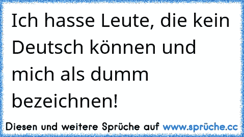 Ich hasse Leute, die kein Deutsch können und mich als dumm bezeichnen!