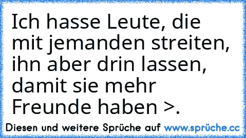 Ich hasse Leute, die mit jemanden streiten, ihn aber drin lassen, damit sie mehr Freunde haben >.