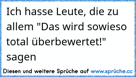 Ich hasse Leute, die zu allem "Das wird sowieso total überbewertet!" sagen