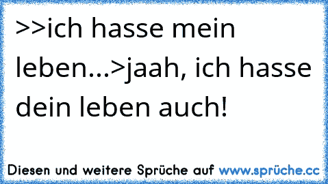 >>ich hasse mein leben...>jaah, ich hasse dein leben auch!