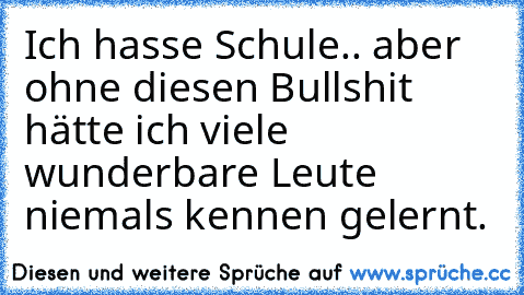 Ich hasse Schule.. aber ohne diesen Bullshit hätte ich viele wunderbare Leute niemals kennen gelernt. ♥