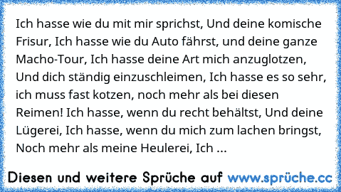 Ich hasse wie du mit mir sprichst, Und deine komische Frisur, Ich hasse wie du Auto fährst, und deine ganze Macho-Tour, Ich hasse deine Art mich anzuglotzen, Und dich ständig einzuschleimen, Ich hasse es so sehr, ich muss fast kotzen, noch mehr als bei diesen Reimen! Ich hasse, wenn du recht behältst, Und deine Lügerei, Ich hasse, wenn du mich zum lachen bringst, Noch mehr als meine Heulerei, I...