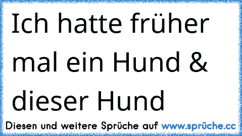 Ich hatte früher mal ein Hund & dieser Hund