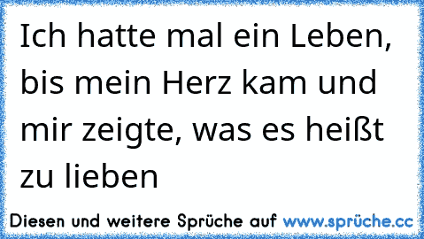 Ich hatte mal ein Leben, bis mein Herz kam und mir zeigte, was es heißt zu lieben  ♥