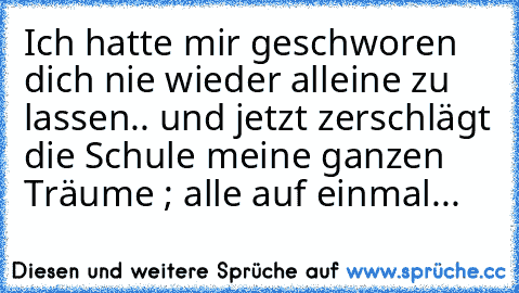 Ich hatte mir geschworen dich nie wieder alleine zu lassen.. und jetzt zerschlägt die Schule meine ganzen Träume ; alle auf einmal...