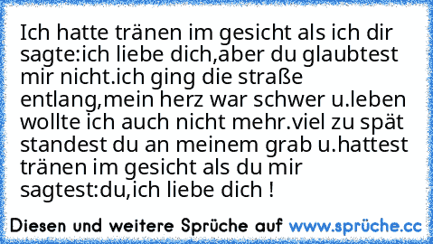 Ich hatte tränen im gesicht als ich dir sagte:ich liebe dich,aber du glaubtest mir nicht.ich ging die straße entlang,mein herz war schwer u.leben wollte ich auch nicht mehr.viel zu spät standest du an meinem grab u.hattest tränen im gesicht als du mir sagtest:du,ich liebe dich !