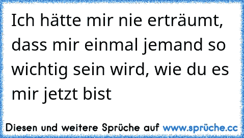 Ich hätte mir nie erträumt, dass mir einmal jemand so wichtig sein wird, wie du es mir jetzt bist♥♥♥♥♥