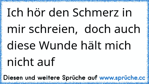 Ich hör den Schmerz in mir schreien,  doch auch diese Wunde hält mich nicht auf