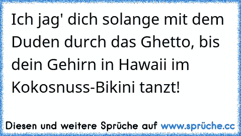 Ich jag' dich solange mit dem Duden durch das Ghetto, bis dein Gehirn in Hawaii im Kokosnuss-Bikini tanzt!