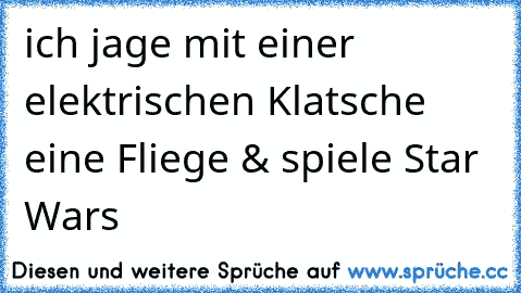 ich jage mit einer elektrischen Klatsche eine Fliege & spiele Star Wars