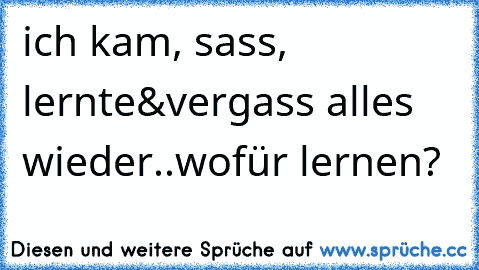 ich kam, sass, lernte&vergass alles wieder..wofür lernen?