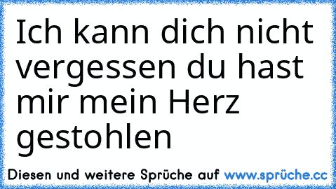 Ich kann dich nicht vergessen du hast mir mein Herz gestohlen