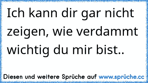 Ich kann dir gar nicht zeigen, wie verdammt wichtig du mir bist..