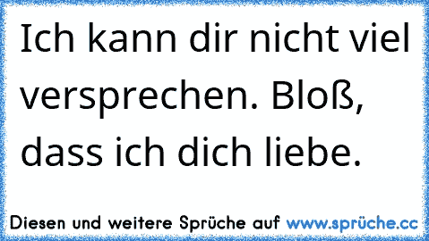 Ich kann dir nicht viel versprechen. Bloß, dass ich dich liebe.