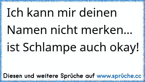 Ich kann mir deinen Namen nicht merken... ist Schlampe auch okay!