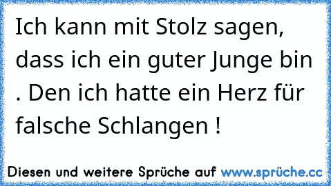 Ich kann mit Stolz sagen, dass ich ein guter Junge bin . Den ich hatte ein Herz für falsche Schlangen !