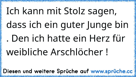 Ich kann mit Stolz sagen, dass ich ein guter Junge bin . Den ich hatte ein Herz für weibliche Arschlöcher !