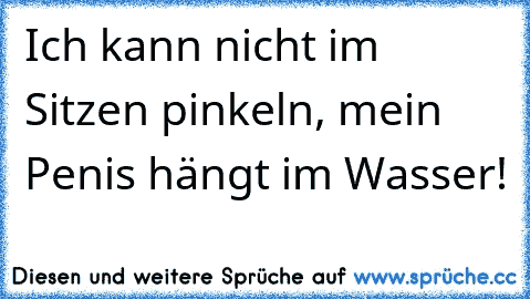 Ich kann nicht im Sitzen pinkeln, mein Penis hängt im Wasser!