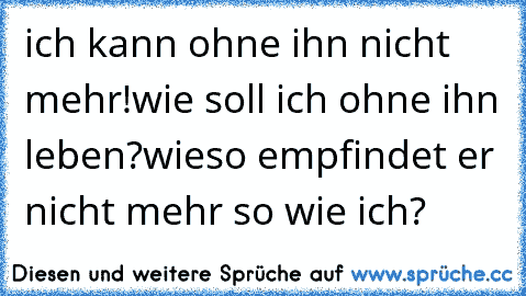 ich kann ohne ihn nicht mehr!
wie soll ich ohne ihn leben?
wieso empfindet er nicht mehr so wie ich?