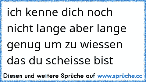 ich kenne dich noch nicht lange aber lange genug um zu wiessen das du scheisse bist