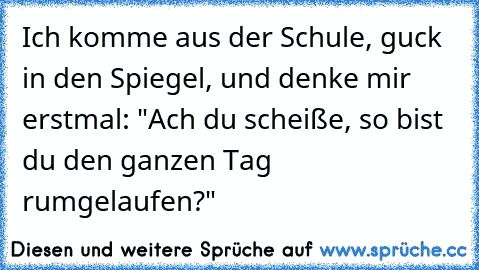 Ich komme aus der Schule, guck in den Spiegel, und denke mir erstmal: "Ach du scheiße, so bist du den ganzen Tag rumgelaufen?"