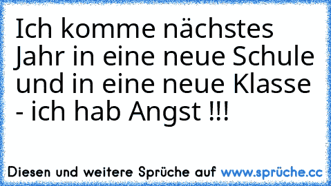 Ich komme nächstes Jahr in eine neue Schule und in eine neue Klasse - ich hab Angst !!!